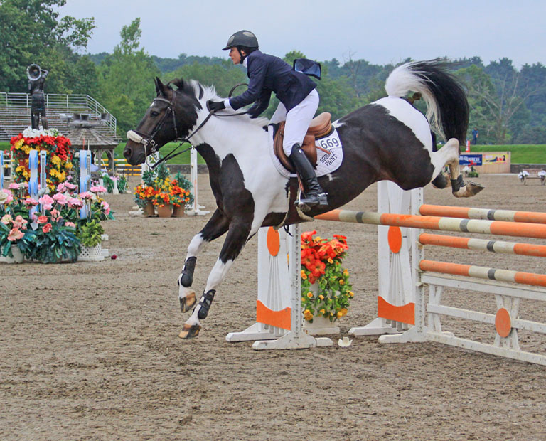 Horse Jumping 6 3   P OMalley